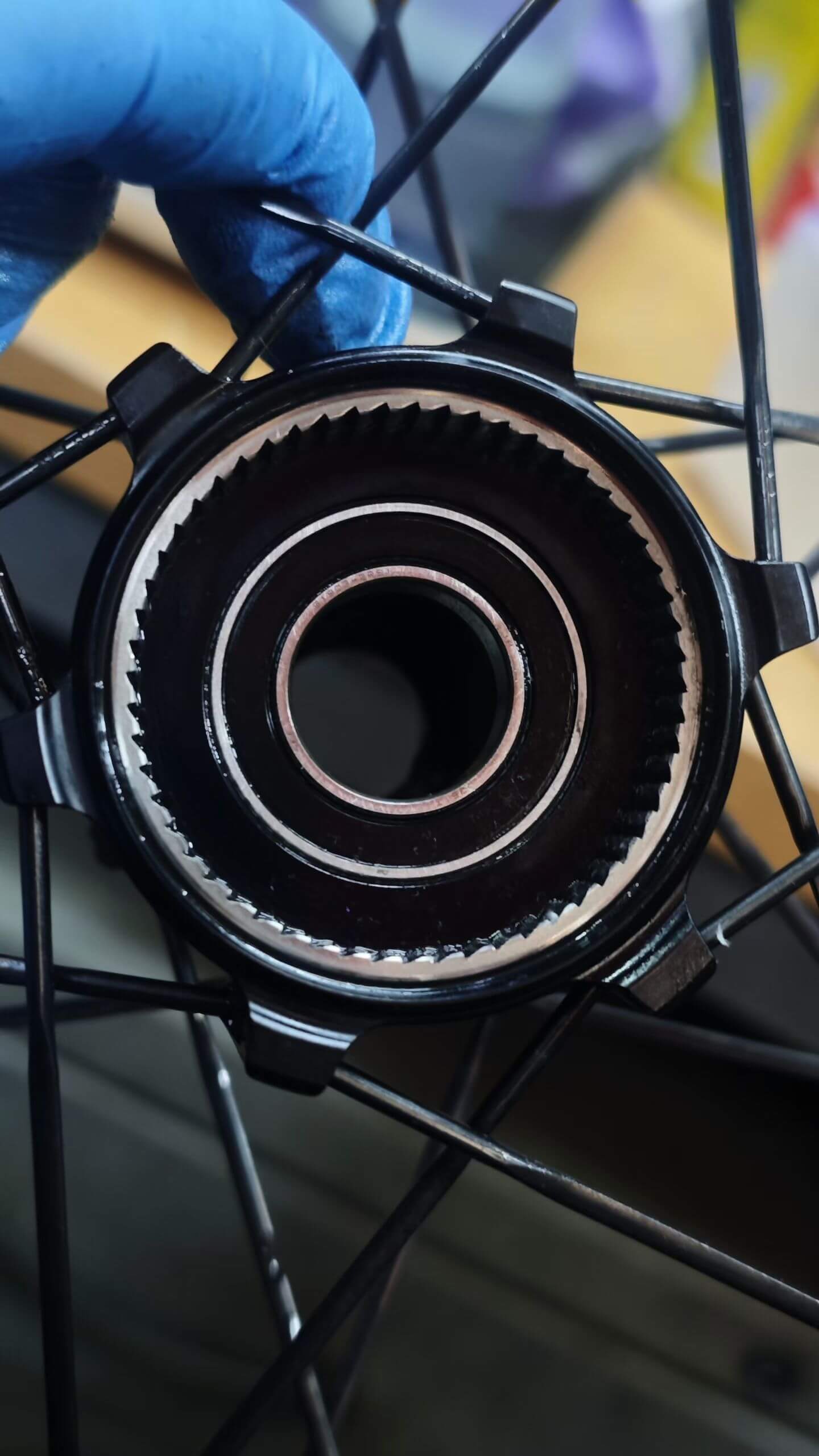 蜗牛行服务展示